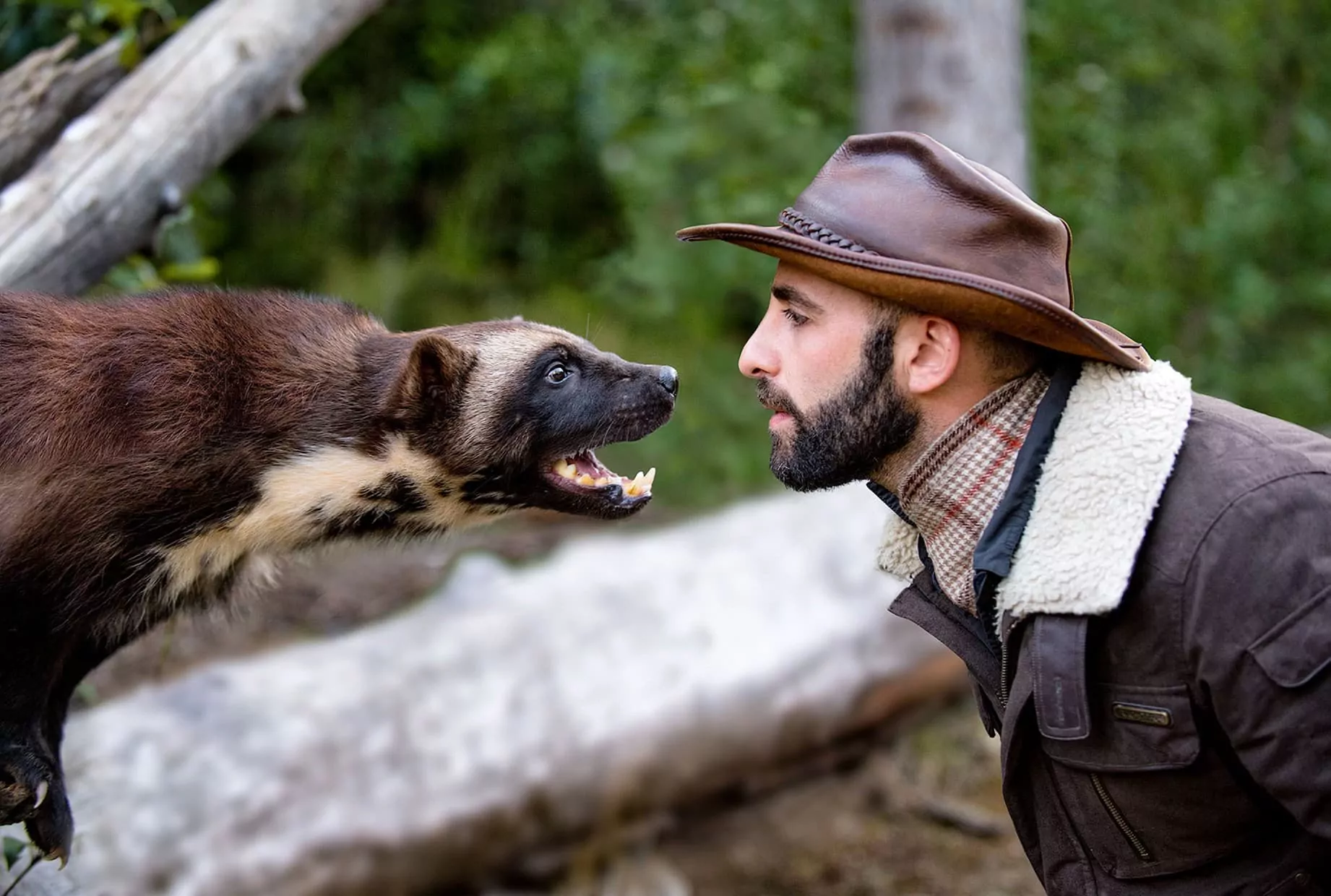 Coyote Peterson Image